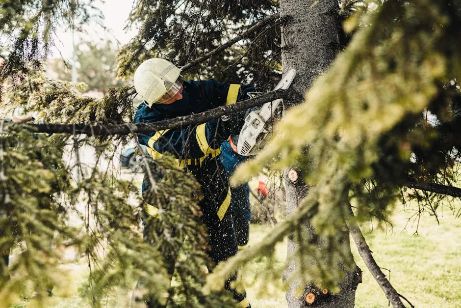 Professional tree trimming service in Colorado Springs